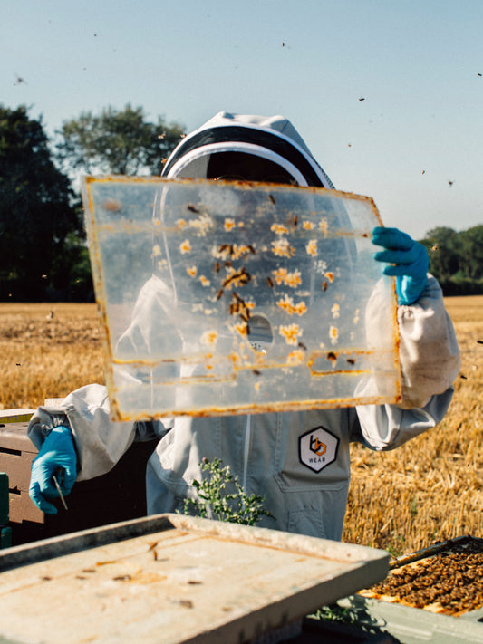 Queen of Bees